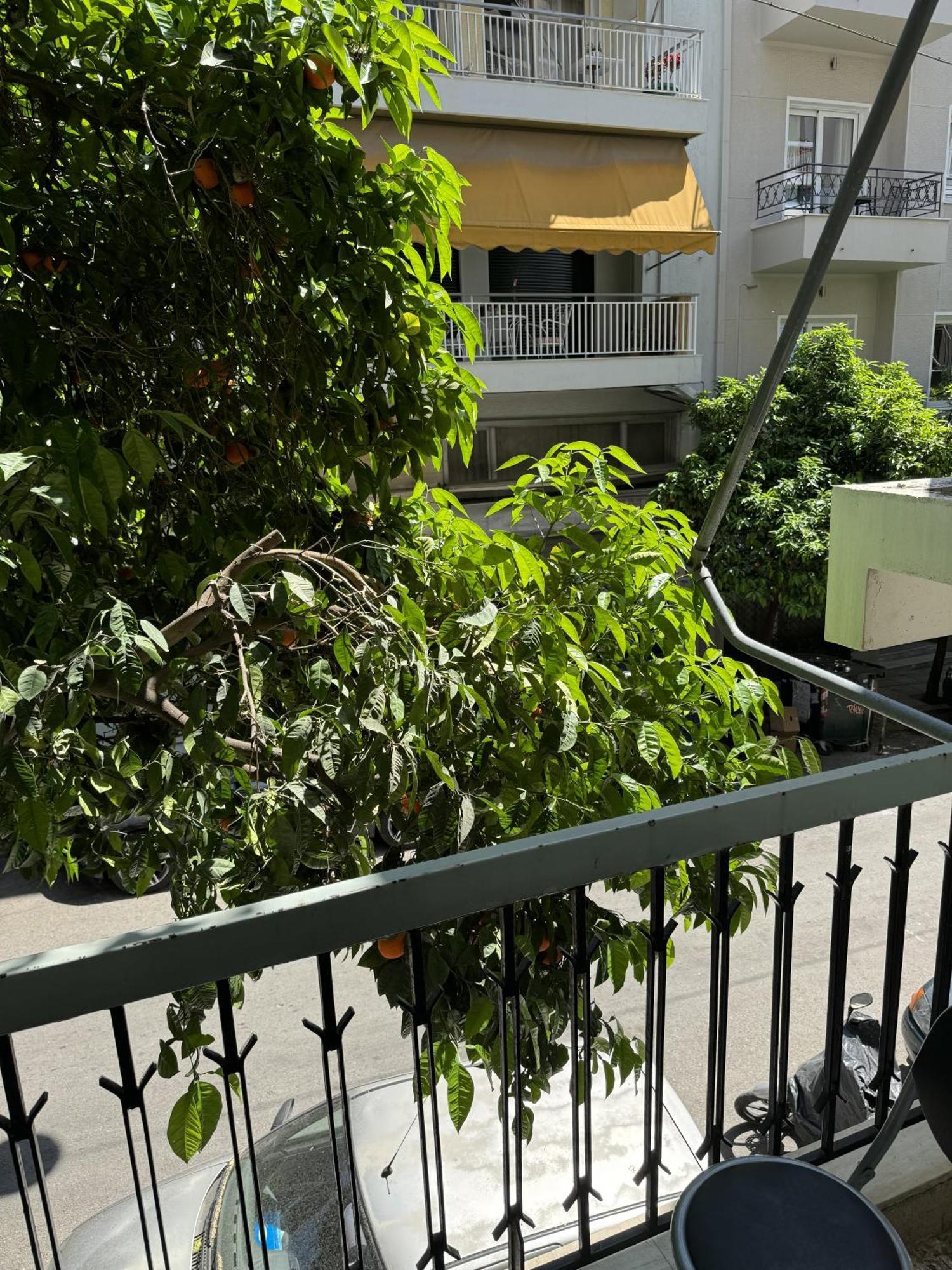 Cozy Apt Next To Acropolis Athens Luaran gambar
